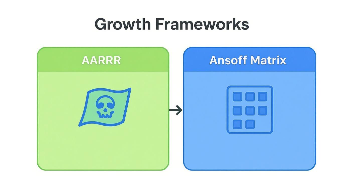Infographic about ecommerce growth strategy
