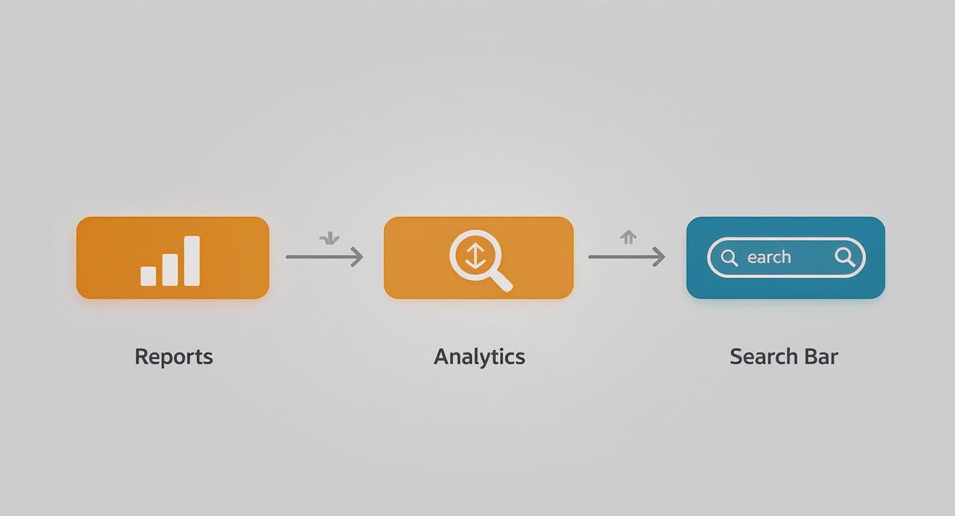 Flowchart illustrating a data process from Reports, through Analytics, to a Search Bar for insights.
