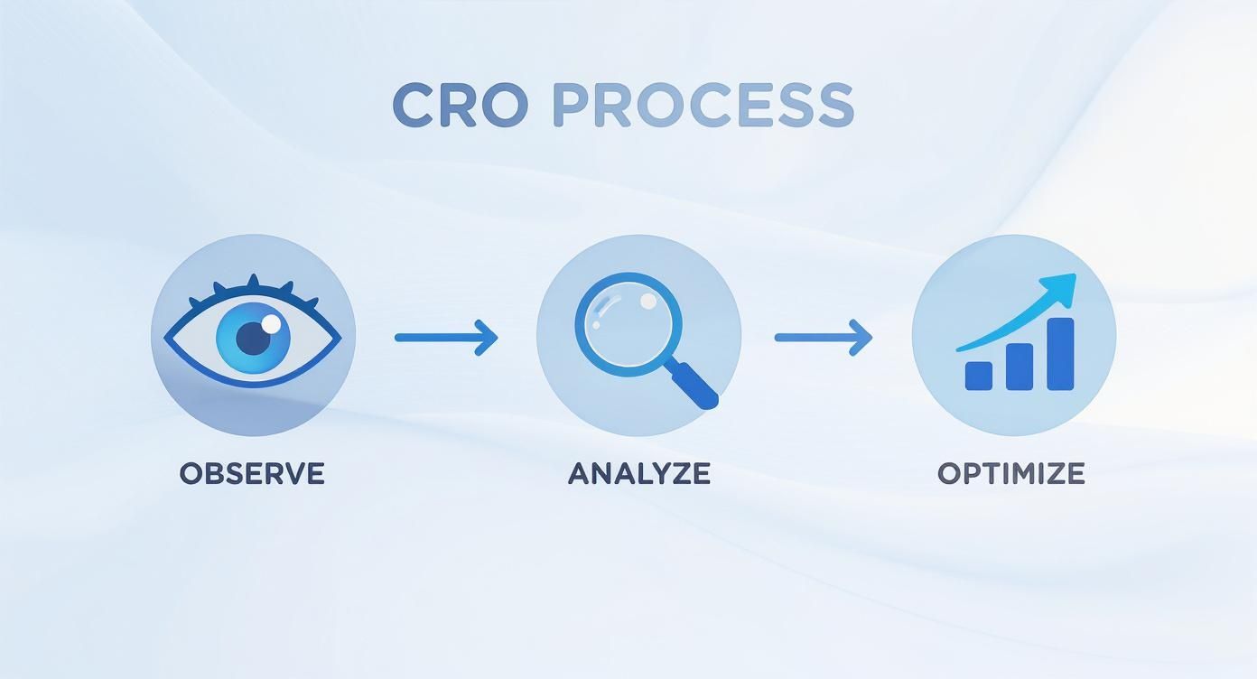 Infographic about conversion rate optimization guide