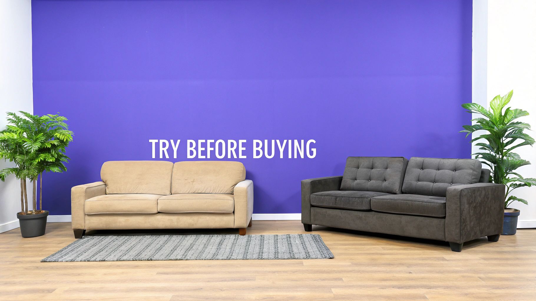 Two comfortable sofas, one beige and one dark grey, with plants in a room with a purple wall.