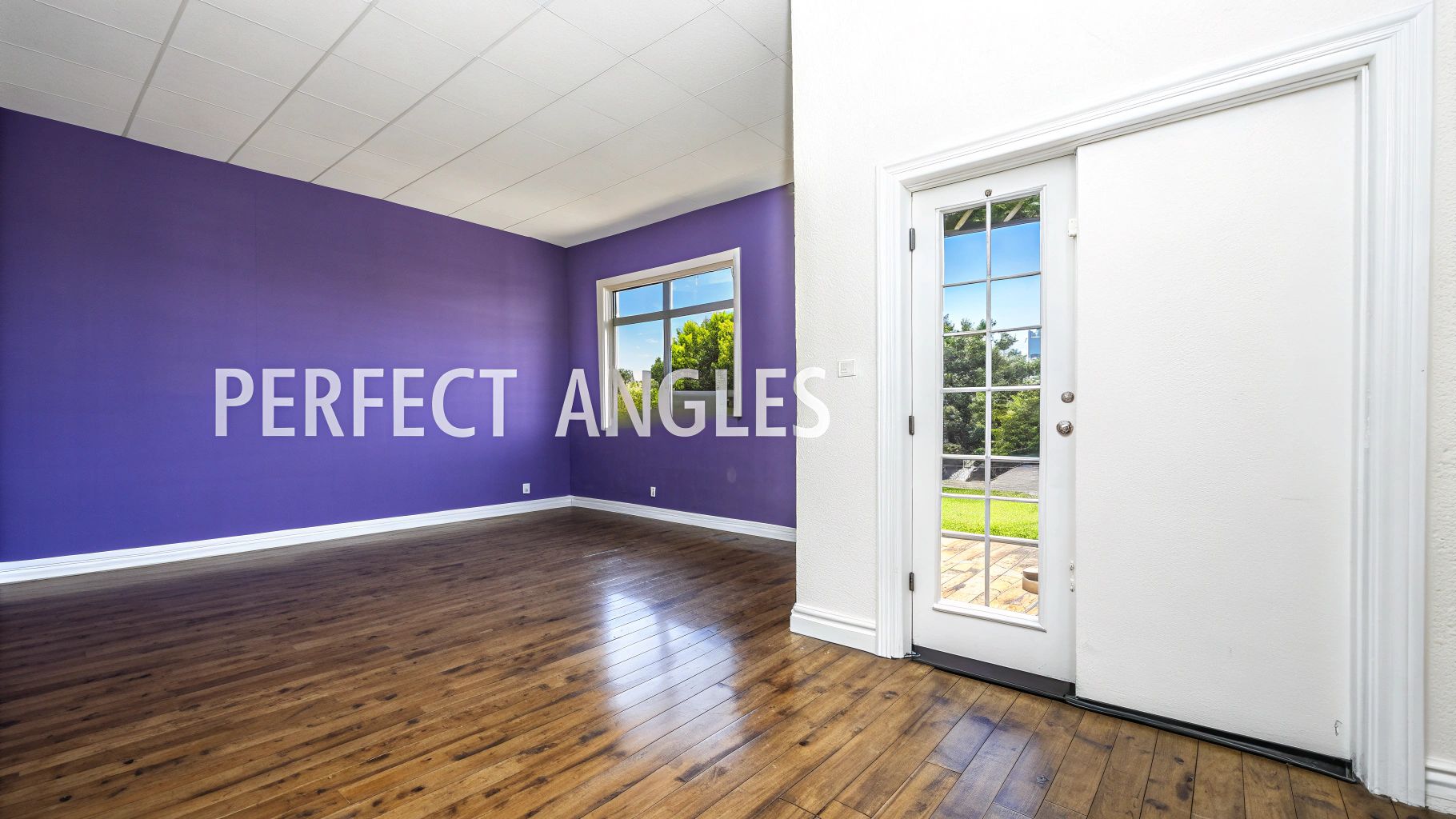 Empty room featuring vibrant purple walls, a wooden floor, white ceiling, and a glass-paned door.