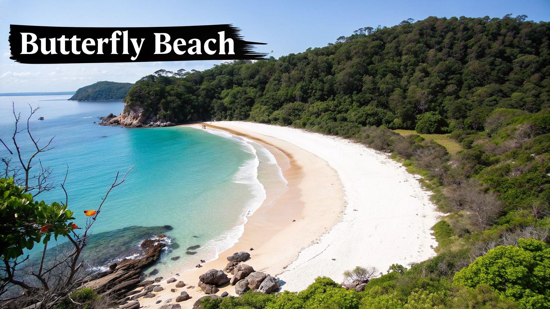 10 South Goa Best Places to Visit: Your 2025 Ultimate Guide 3 Butterfly Beach