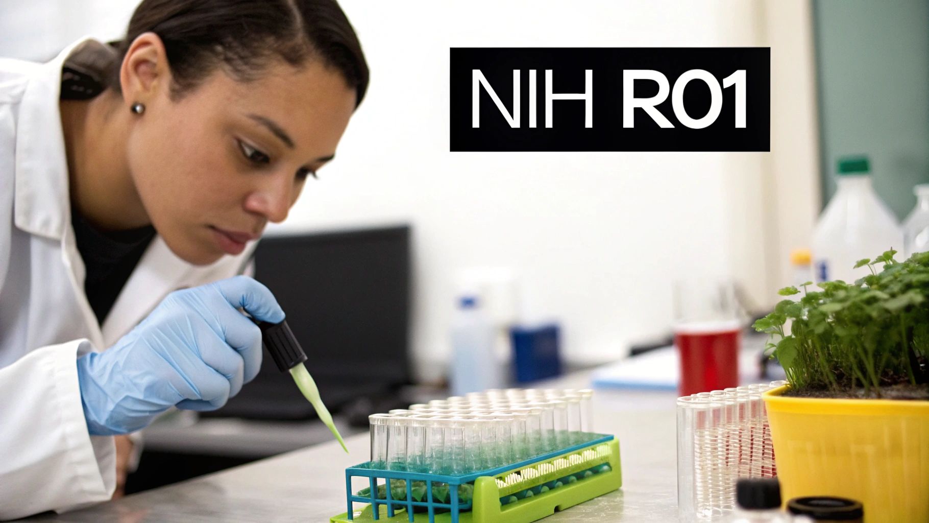 NIH R01 Research Project Grant (Hypothesis-Driven)