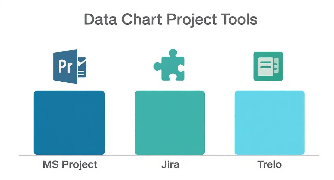 Infographic about how to create a project timeline