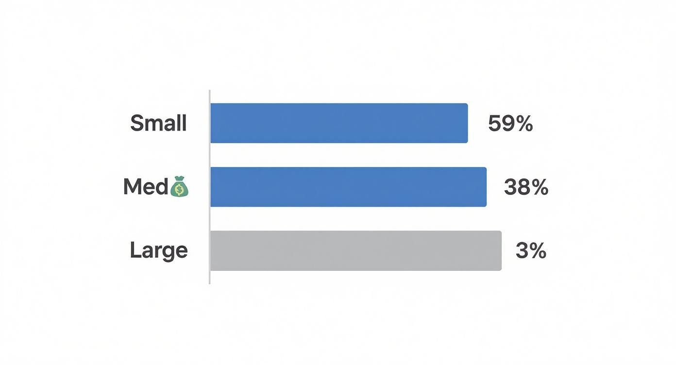 Horizontal bar chart showing distribution: Small (59%), Med (38%), and Large (3%) categories, with a money bag icon for Med.