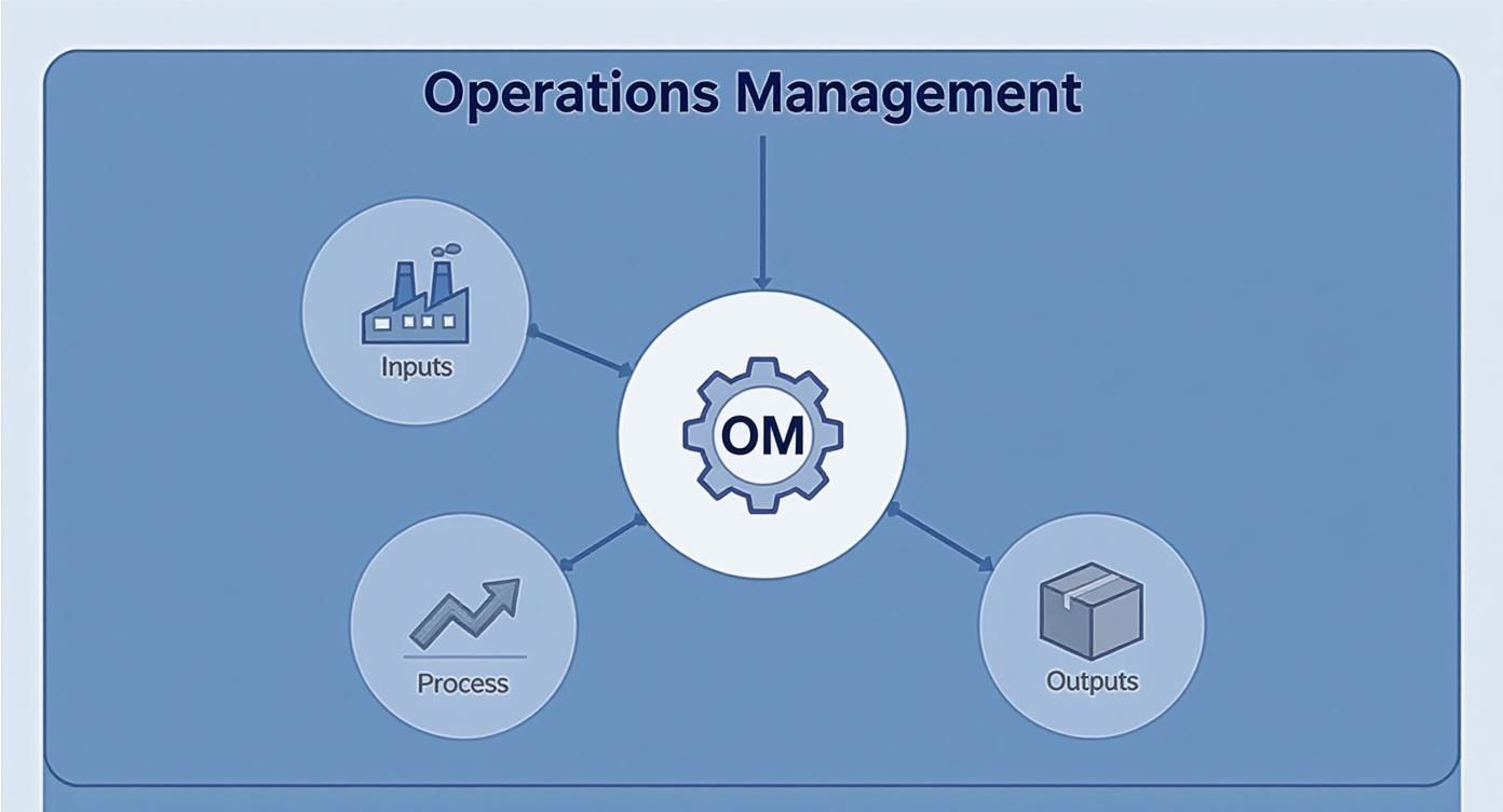 Infographic about what is operations management
