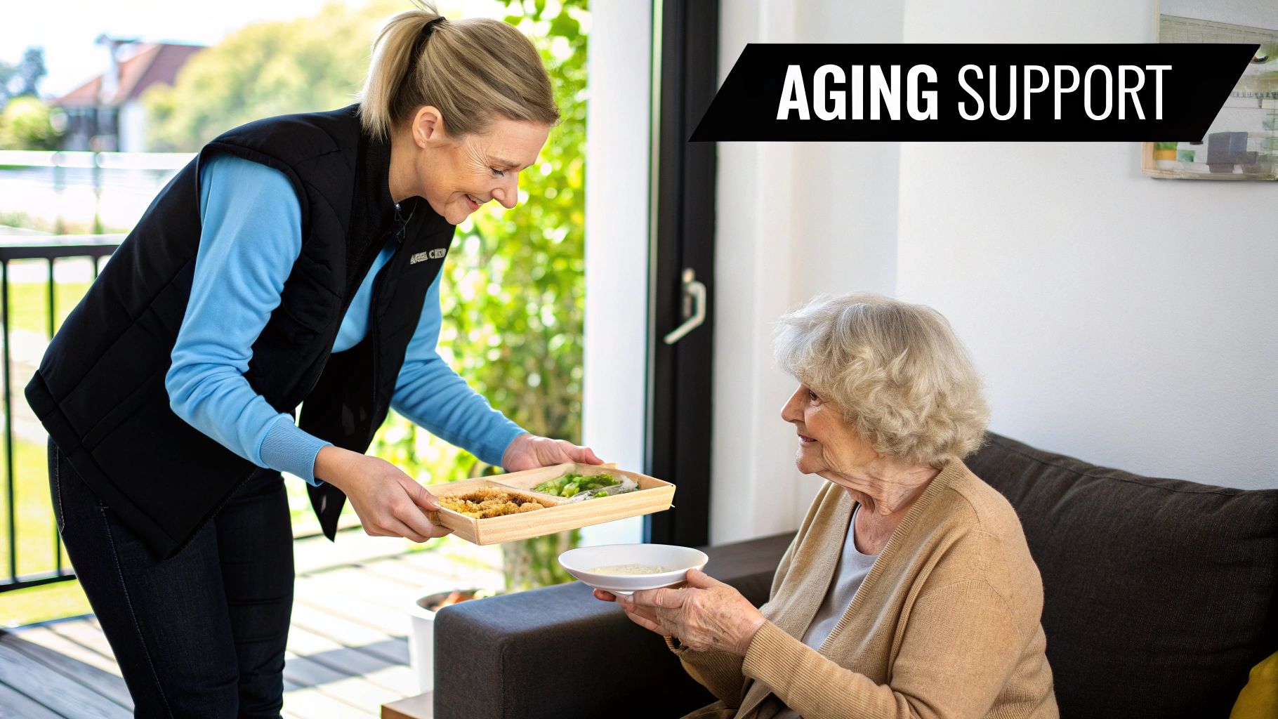 Senior Services and Aging Support Grant - Meals on Wheels Framework