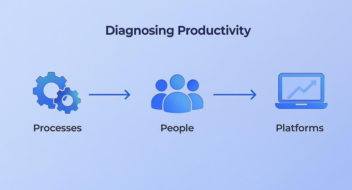 Infographic about how to improve team productivity