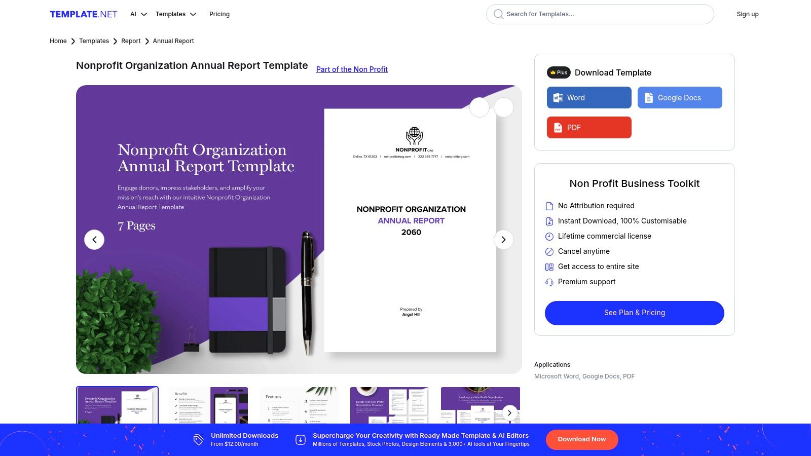 A sample nonprofit annual report template design from Template.net showcasing clean layouts for text and images.