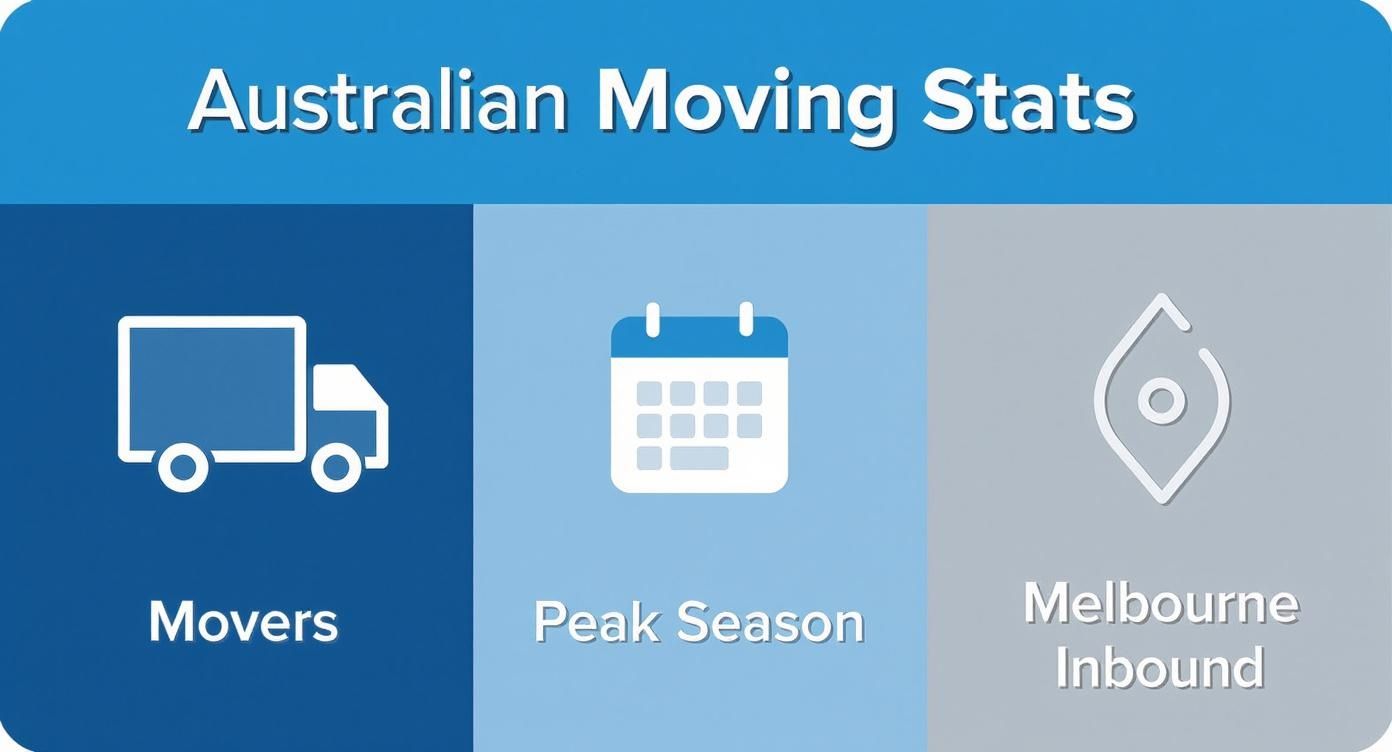 Infographic about movers and packers melbourne