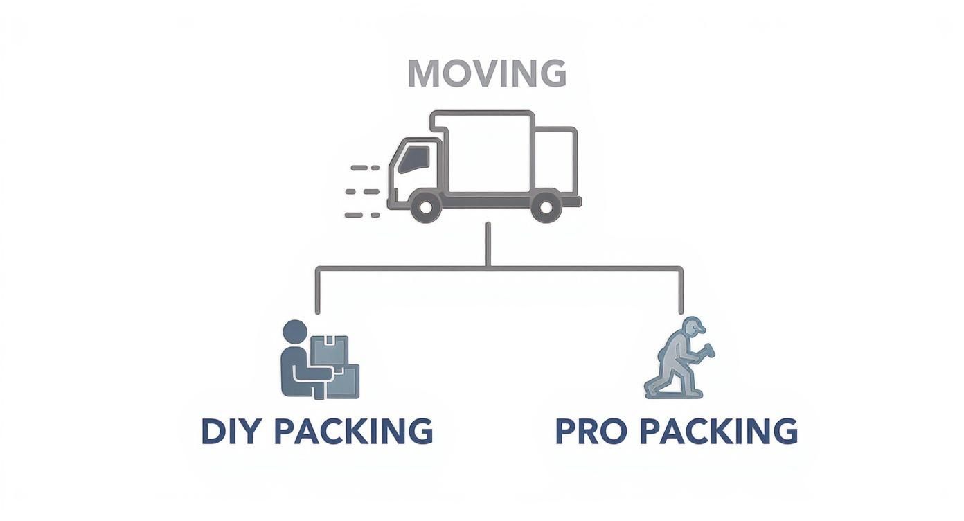Infographic about movers that will pack for you