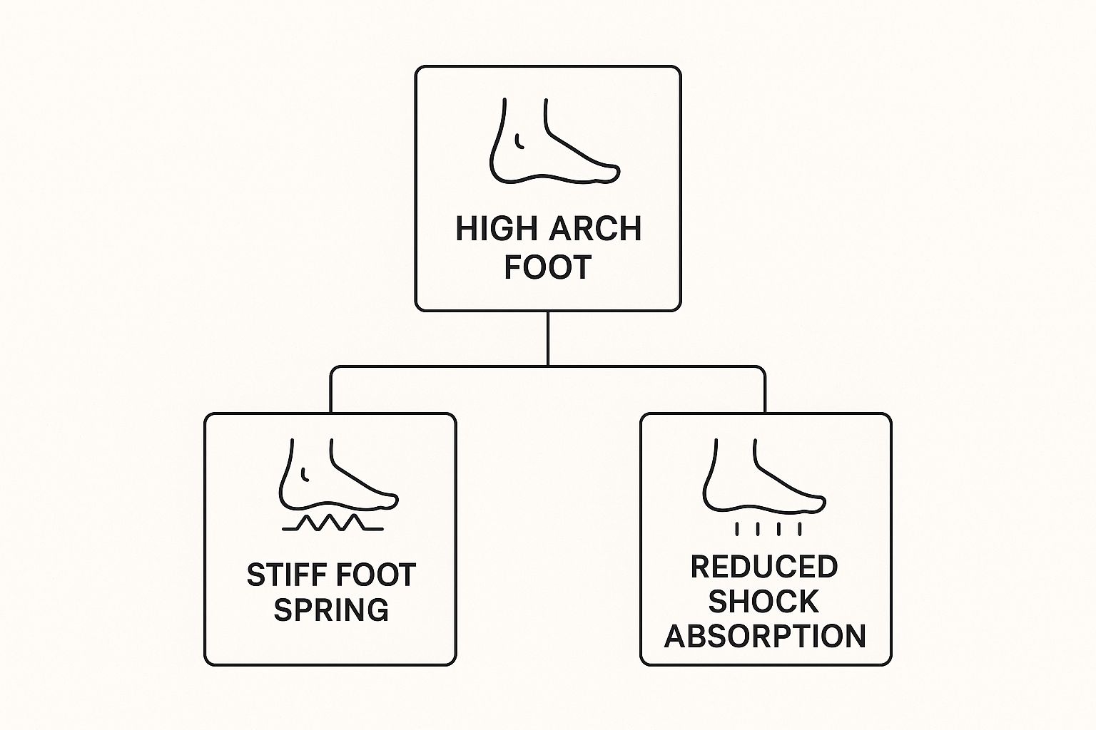 Diagram showing "High Arch Foot" leading to "Stiff Foot Spring" and "Reduced Shock Absorption," with simple foot illustrations.