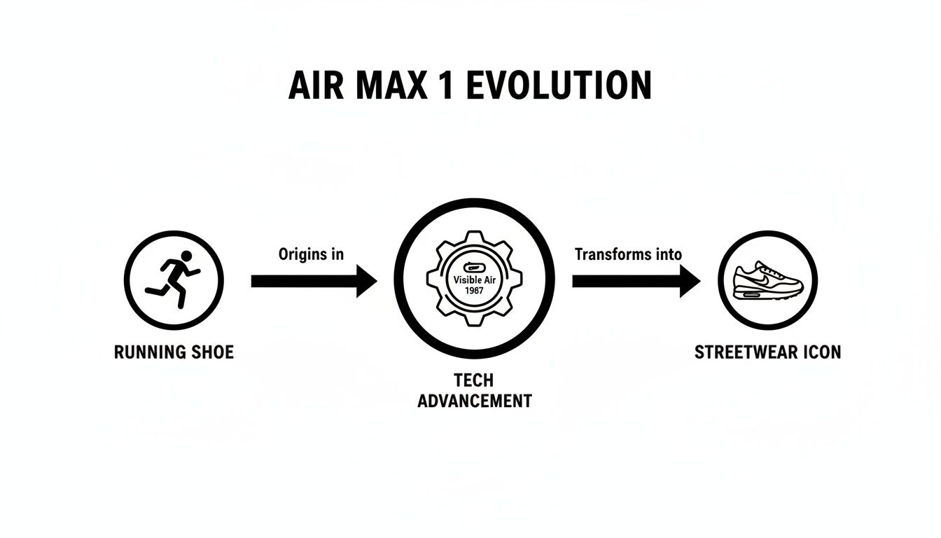 Infographic shows the Air Max 1 evolution from running shoe to streetwear icon, highlighting visible air tech.