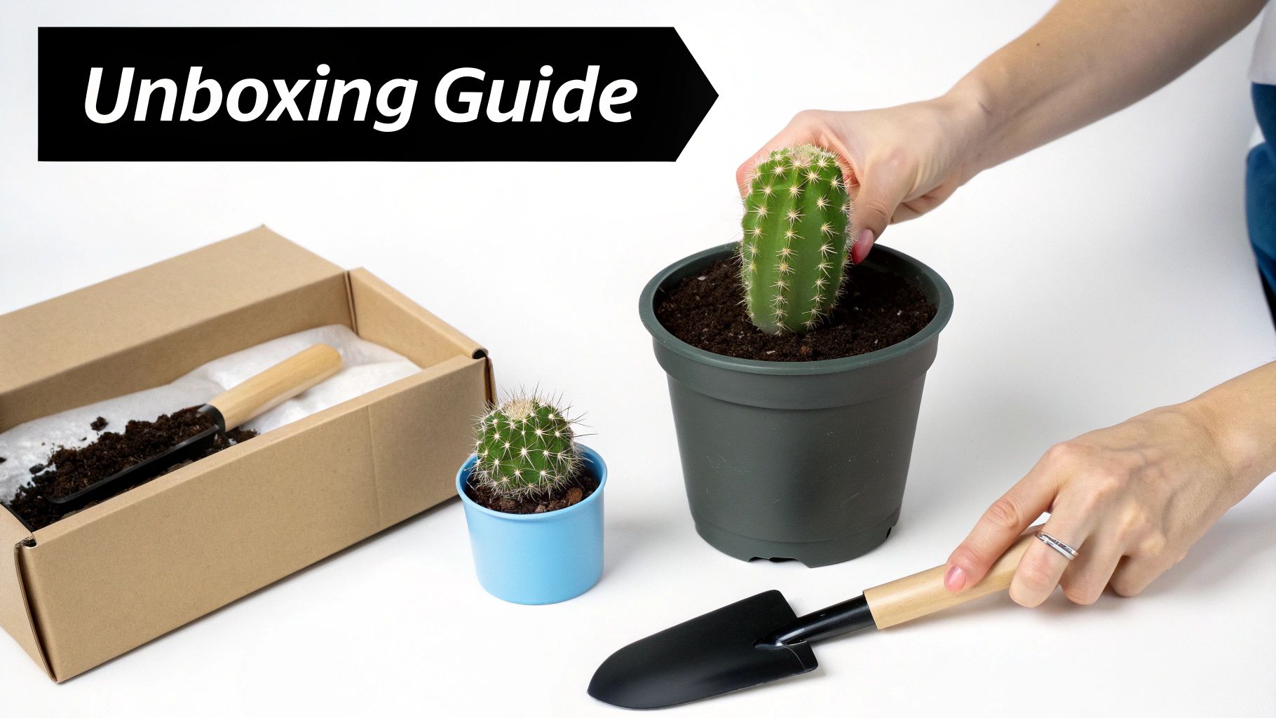 Hands repotting a small cactus into a larger pot, surrounded by soil, a box, and gardening tools.