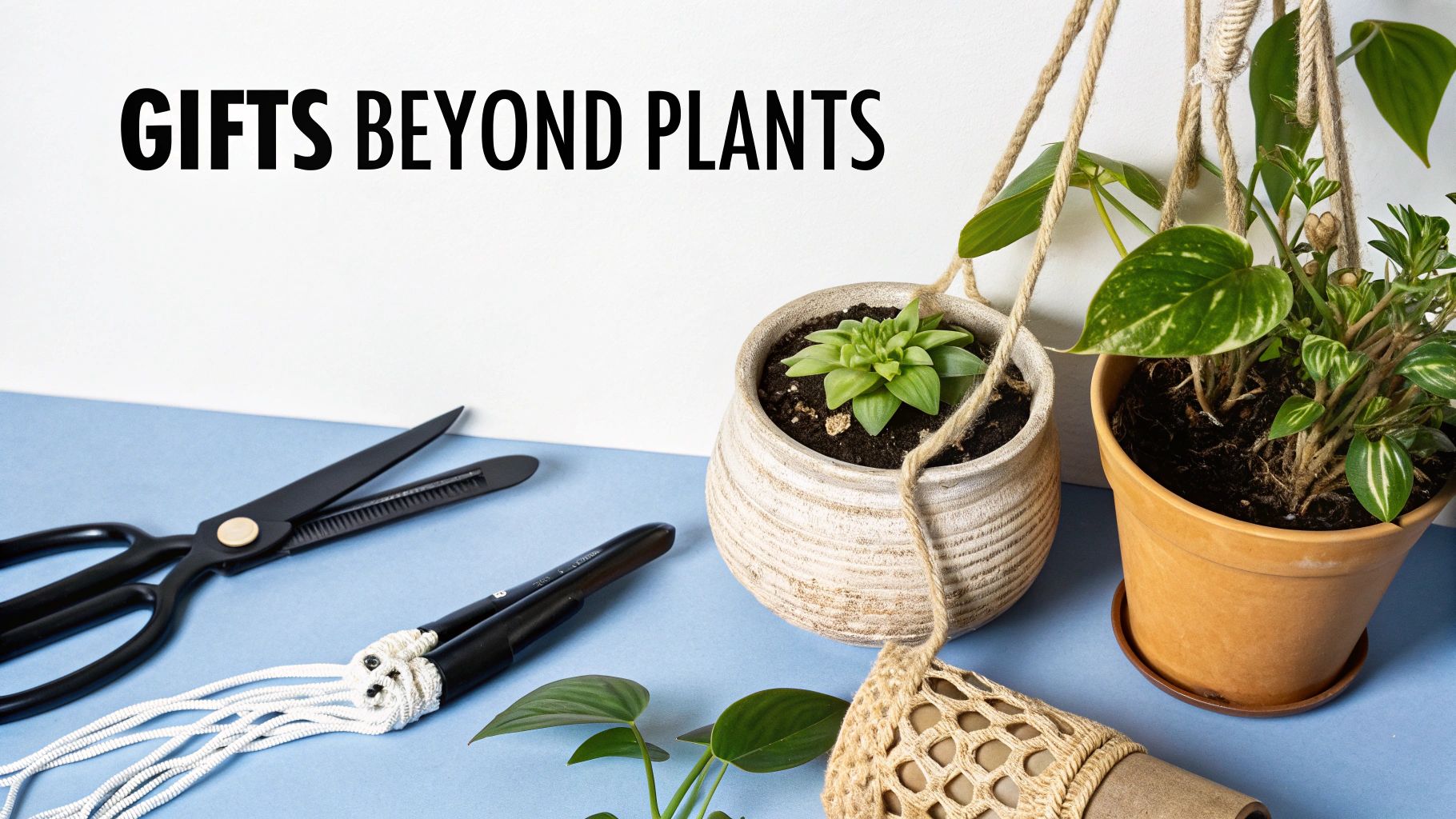 A flat lay of plant-related gifts: two hanging potted plants, gardening tools, and craft paper.