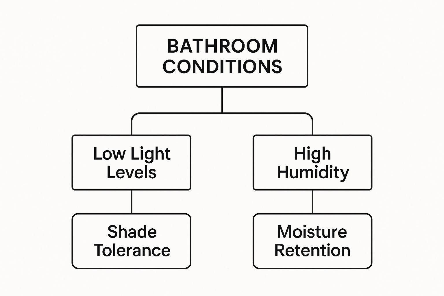 Infographic about best plants for bathroom low light