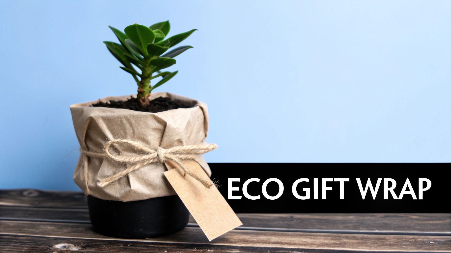 A potted green plant wrapped in eco-friendly paper with twine, on a wooden table.