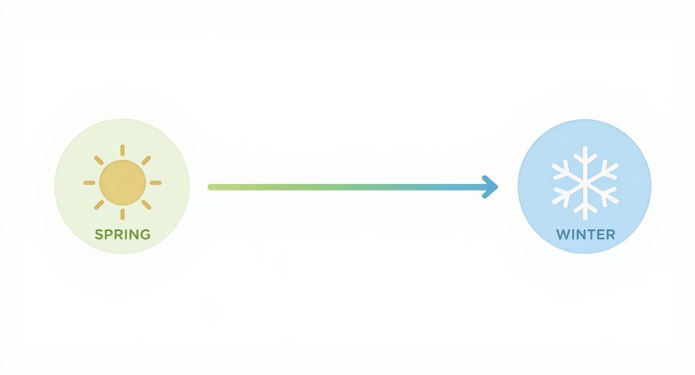 Infographic showing that cacti need more water in spring and summer (sun icon) and less water in fall and winter (snowflake icon), with an arrow indicating the decrease.