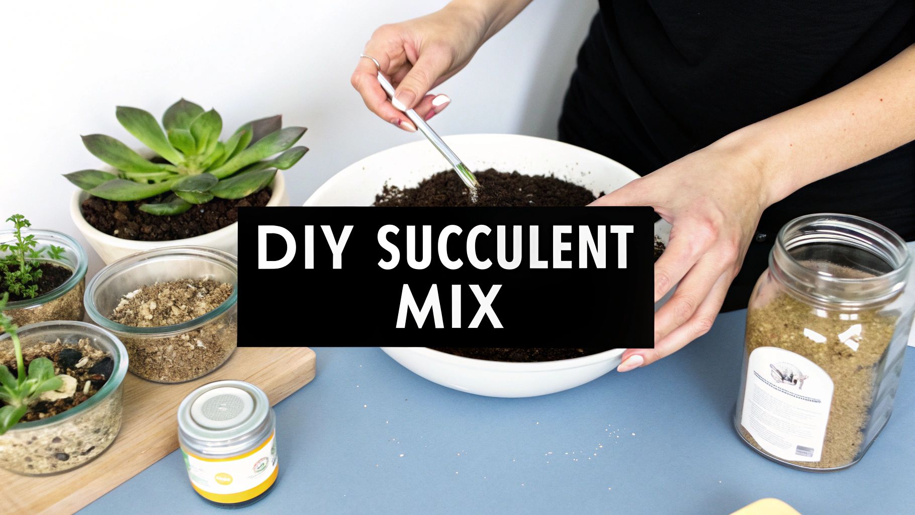 A person's hands mixing soil in a white bowl to create a DIY succulent mix. Potted succulents and various soil components are visible on a blue table.