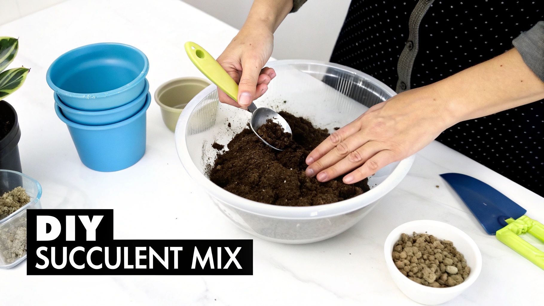 A person's hands mix soil and ingredients in a clear bowl to prepare a DIY succulent potting mix.