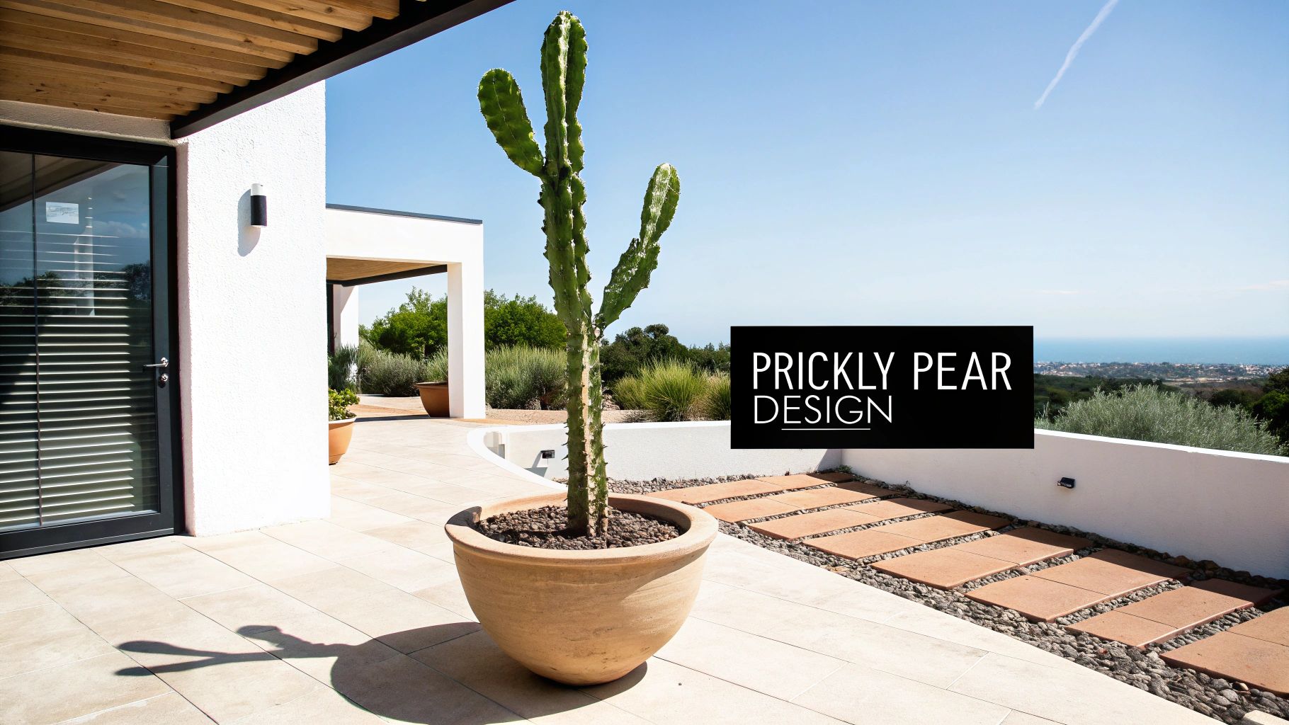 Modern outdoor patio featuring a large potted cactus, white building, and distant ocean view.