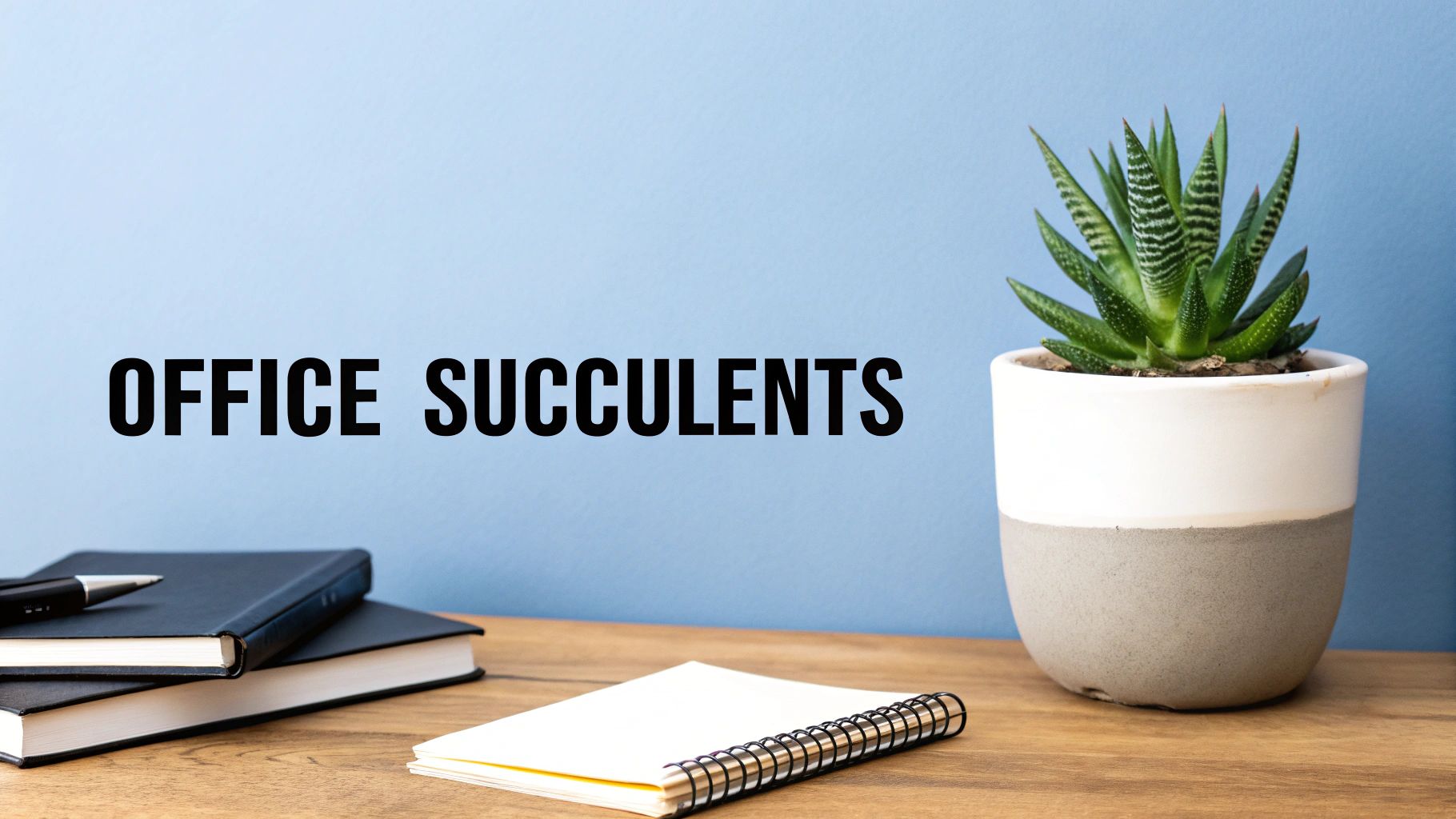 A vibrant succulent plant in a pot sits on an office desk with notebooks and a pen, text 'OFFICE SUCCULENTS'.