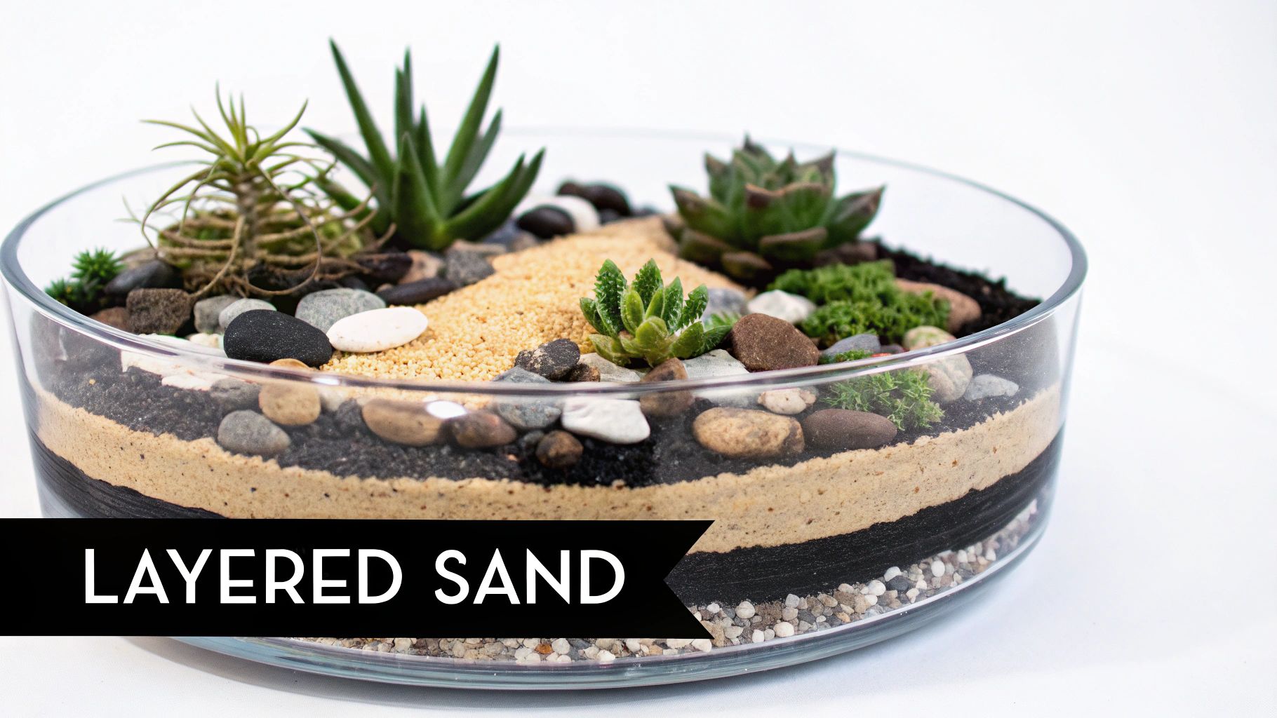 Succulent Sand Terrarium