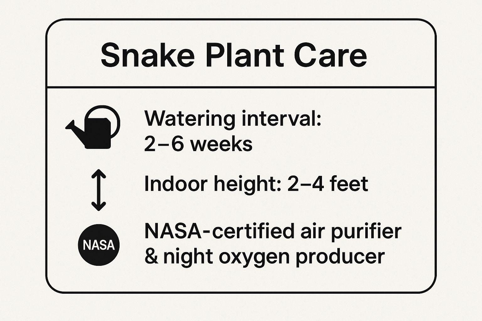 Infographic showing key data about Snake Plant (Sansevieria trifasciata)