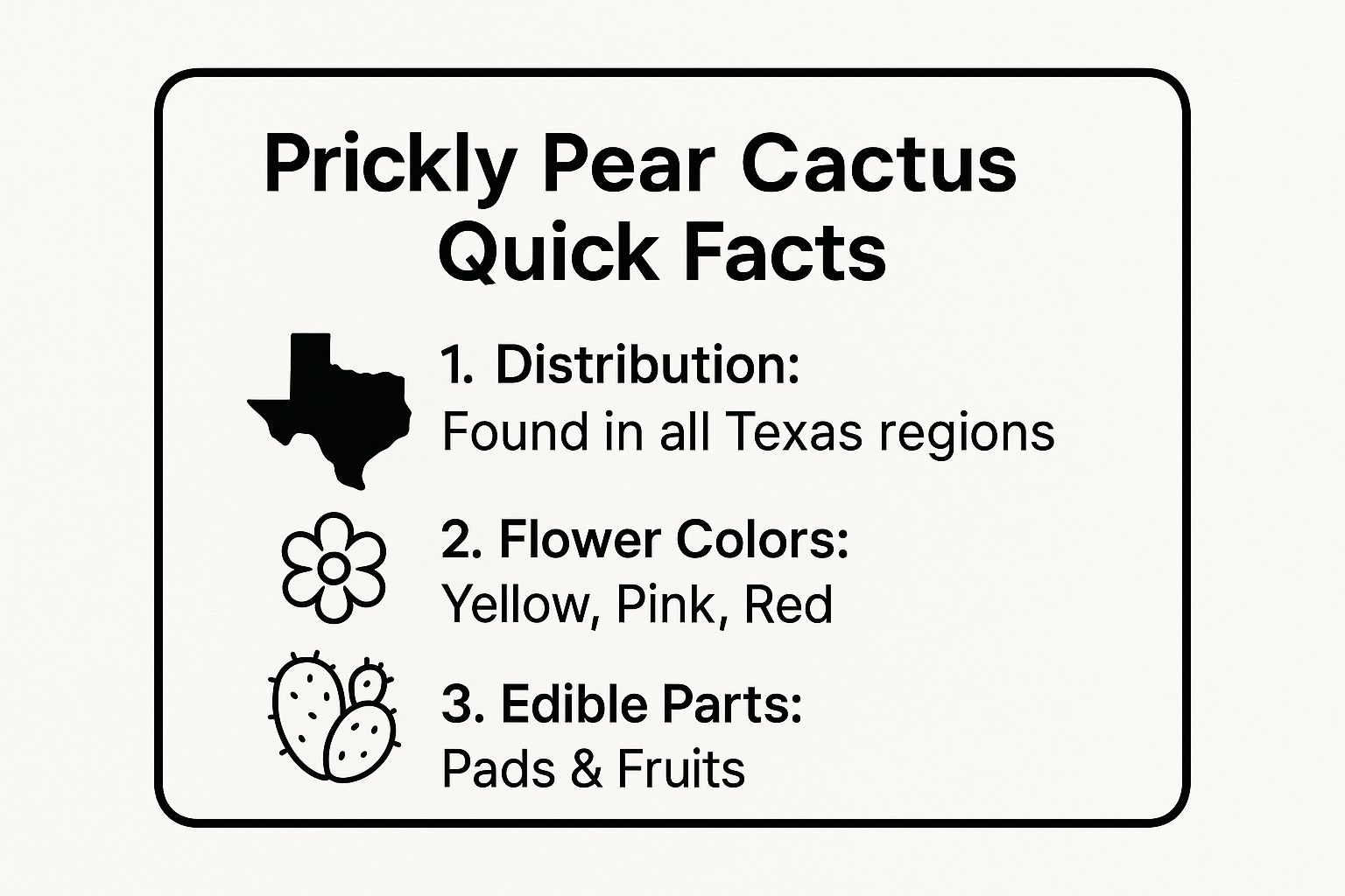 Infographic showing key data about Prickly Pear Cactus (Opuntia species)