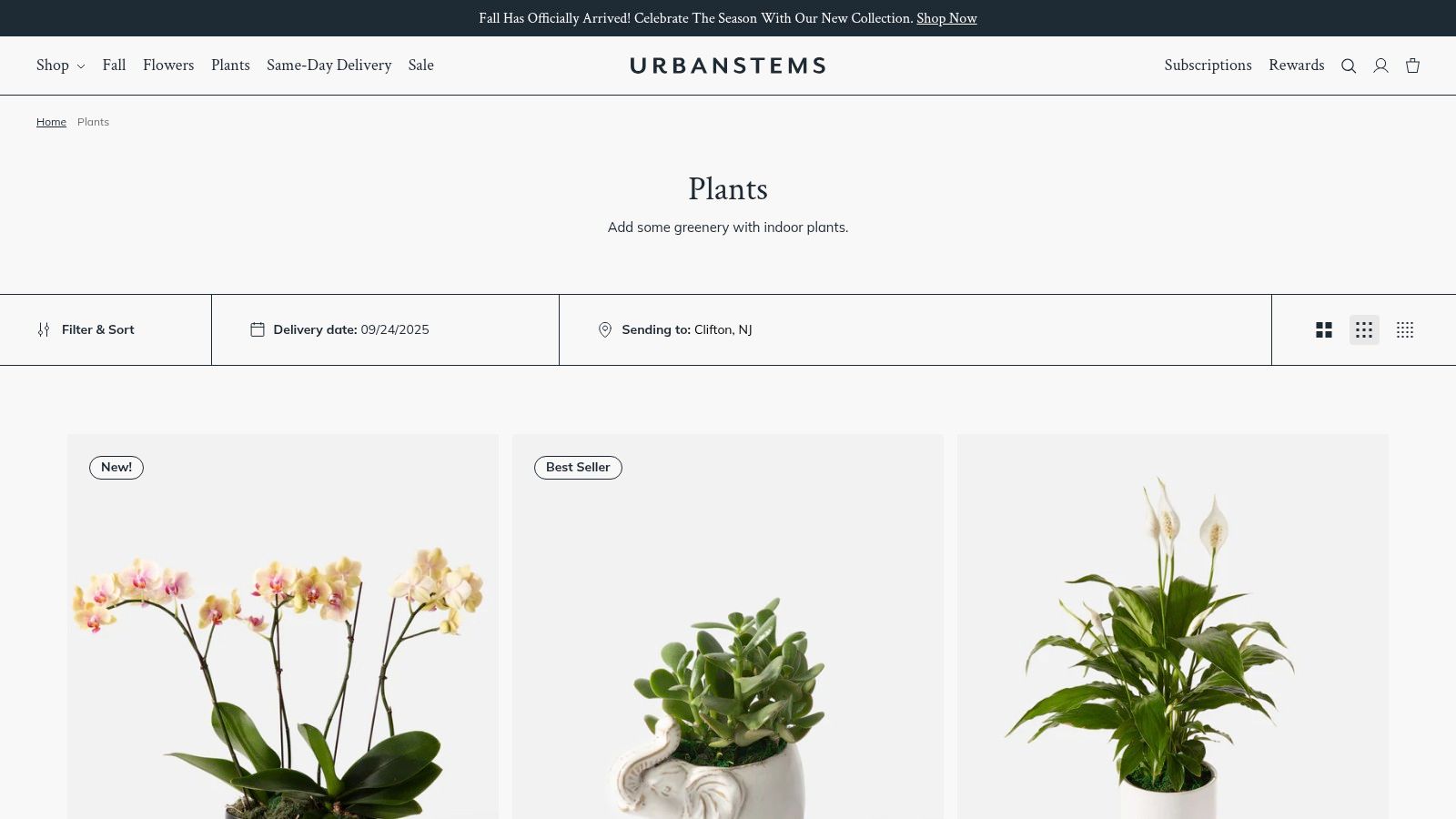 UrbanStems