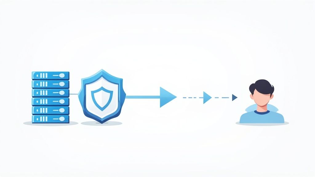 Diagram illustrating database connections and data flow