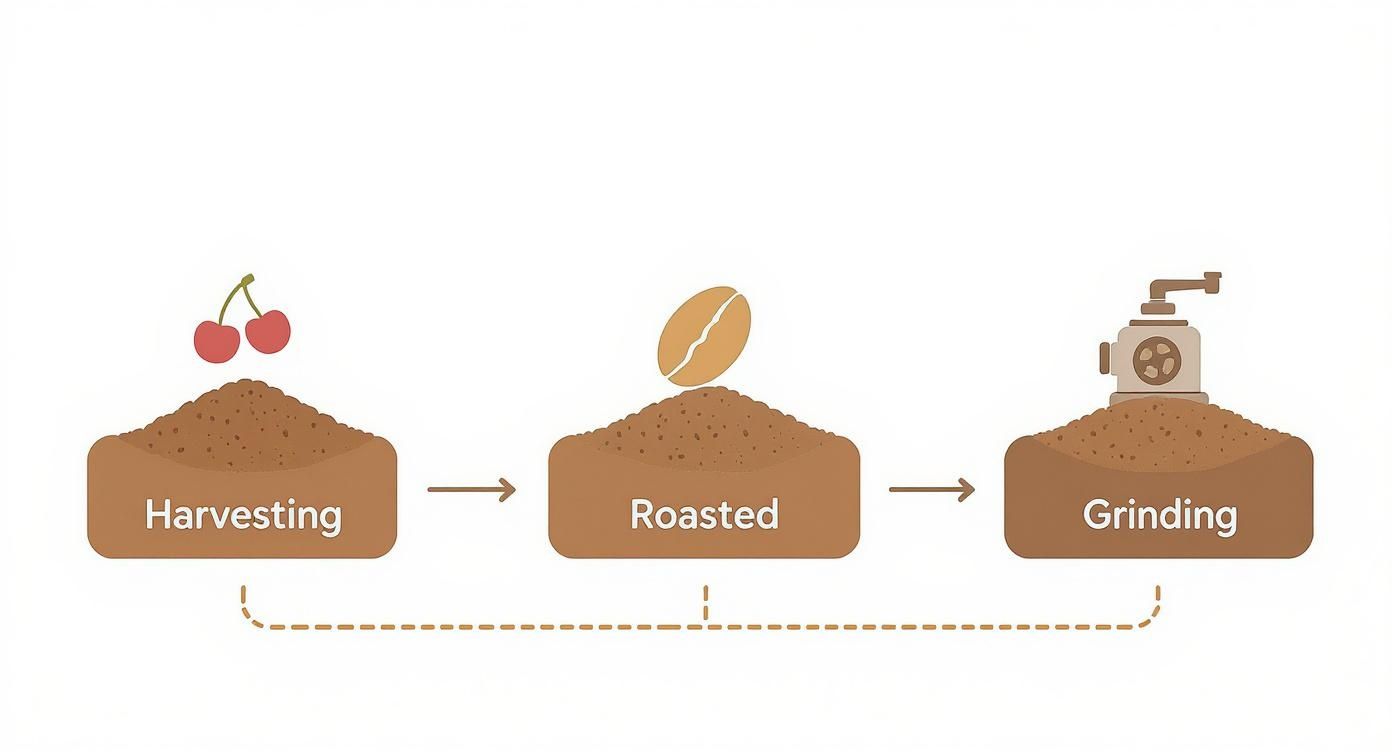 Infographic about is ground coffee instant