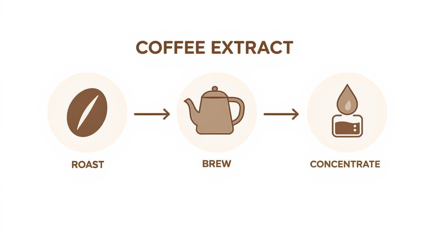 Infographic about how does instant coffee work