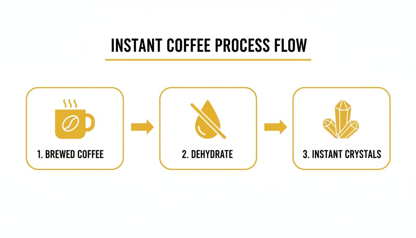 A diagram illustrating the instant coffee production process flow from brewed coffee to instant crystals.