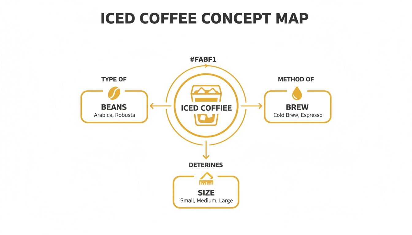 An iced coffee concept map illustrating bean types (Arabica, Robusta), brew methods (Cold Brew, Espresso), and size options.