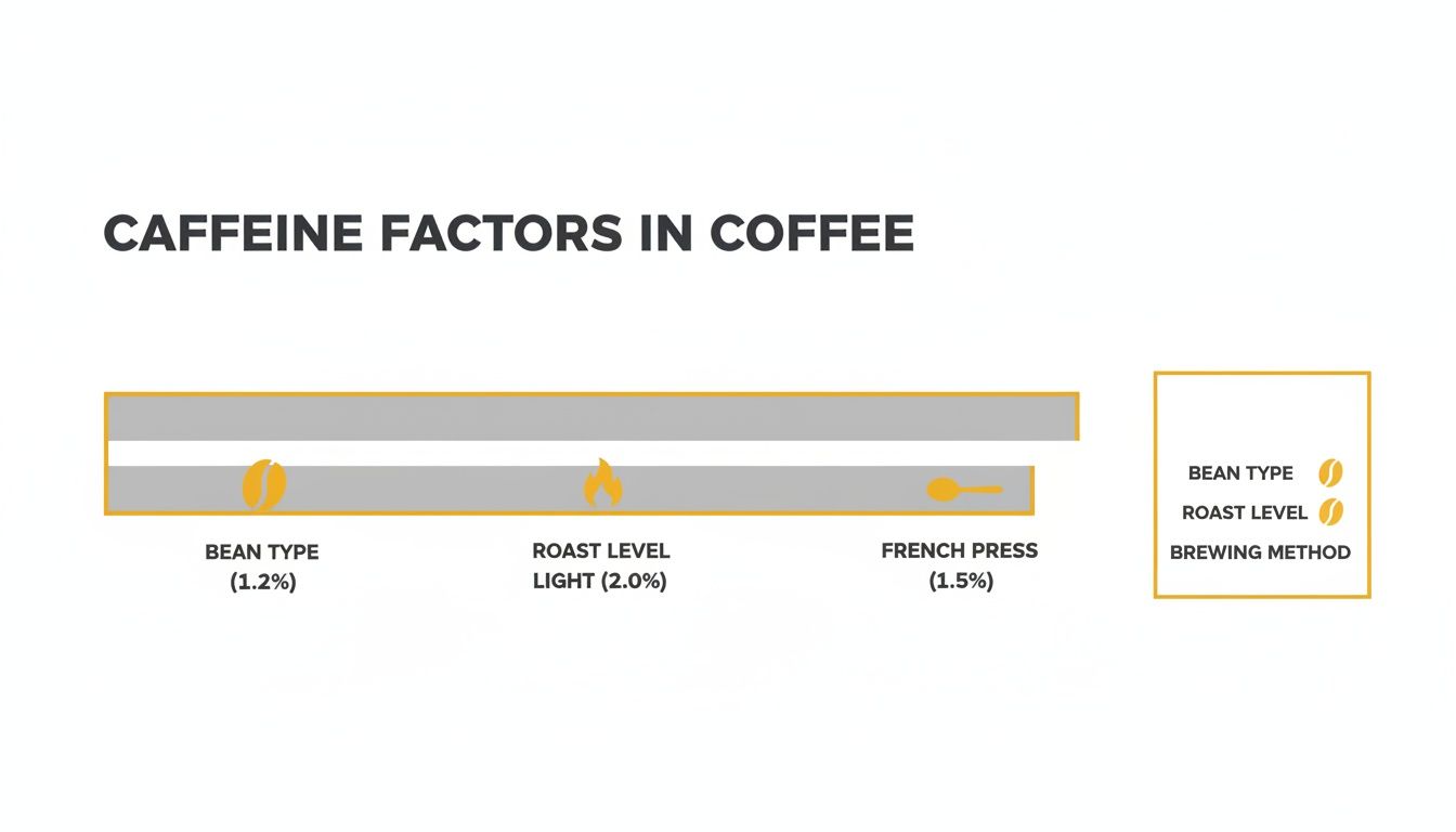 An infographic illustrating caffeine factors in coffee, including bean type, roast level, and brewing method with percentages.