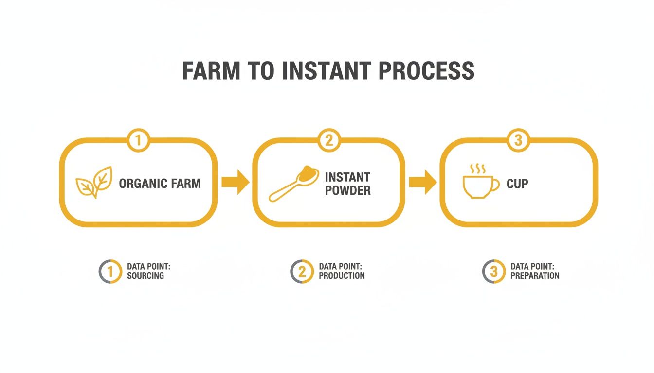 A process diagram showing the journey from an organic farm to instant powder and finally a prepared cup.