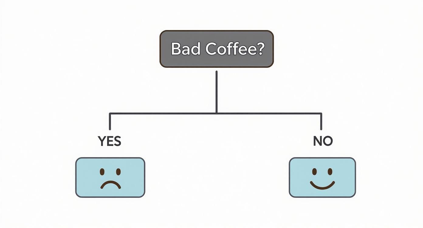 Infographic about coffee in the office