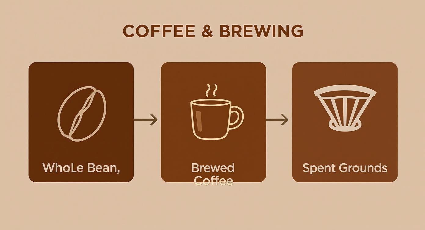 Infographic showing the coffee brewing process from whole bean to brewed coffee, leaving spent grounds.