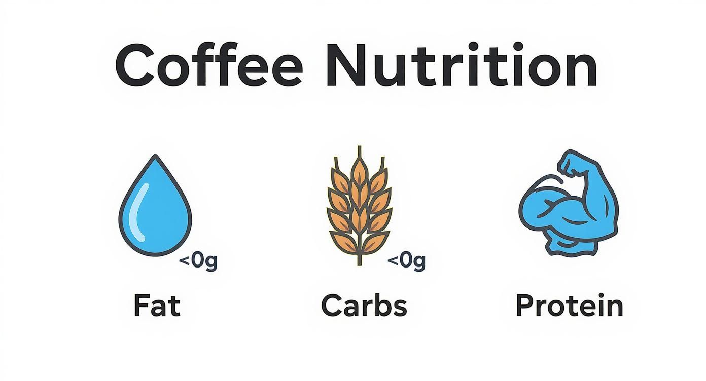 Infographic showing the minimal fat, carbs, and protein in instant coffee