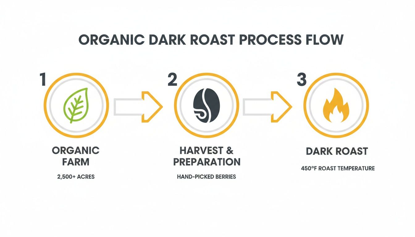 Process flow for organic dark roast coffee, detailing farm, hand-picked harvest, and 450°F roasting.