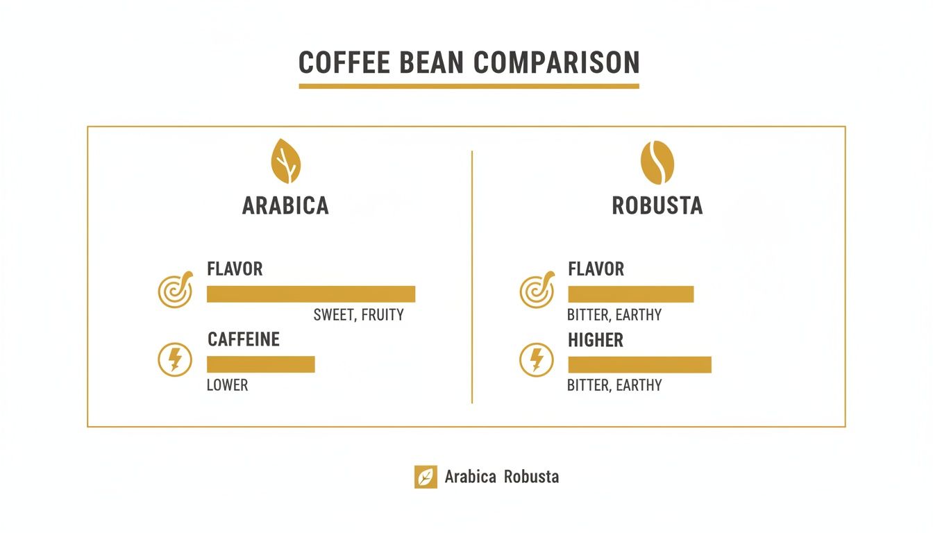An infographic comparing Arabica and Robusta coffee beans, detailing their flavor profiles and caffeine content.