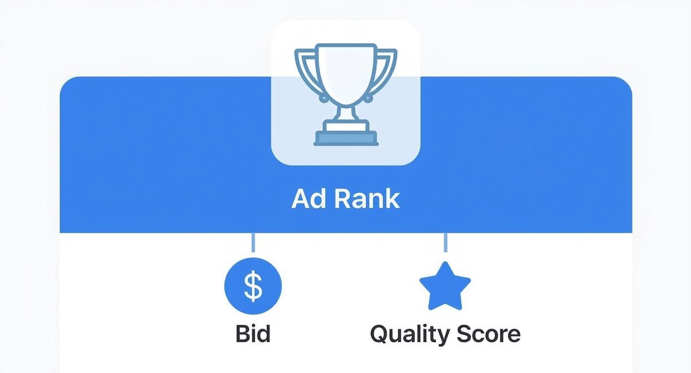 Infographic showing the Google Ads auction hierarchy, with Ad Rank at the top determined by Bid and Quality Score.