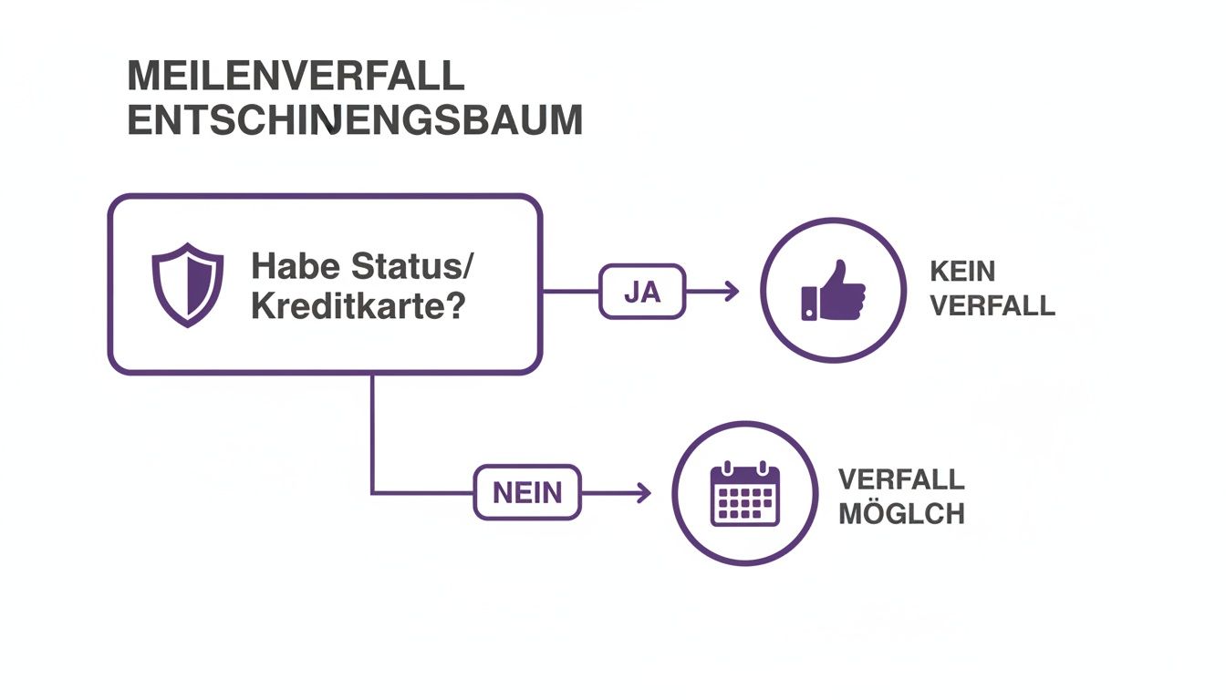 Entscheidungsbaum zum Meilenverfall: Status oder Kreditkarte verhindern den Verfall von Meilen, sonst ist er möglich.