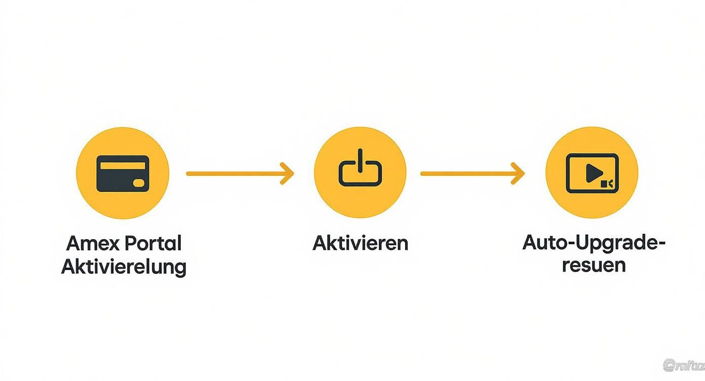 Flussdiagramm zeigt die Schritte Amex Portal Aktivierung, Aktivieren und Auto-Upgrade-resumen.