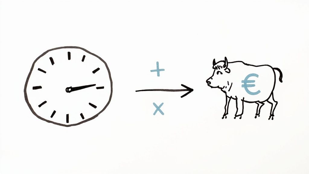 Zeit plus oder mal Geld symbolisiert durch Uhr und Sparschwein mit Euro-Symbol - Digitalisierungsvorteile