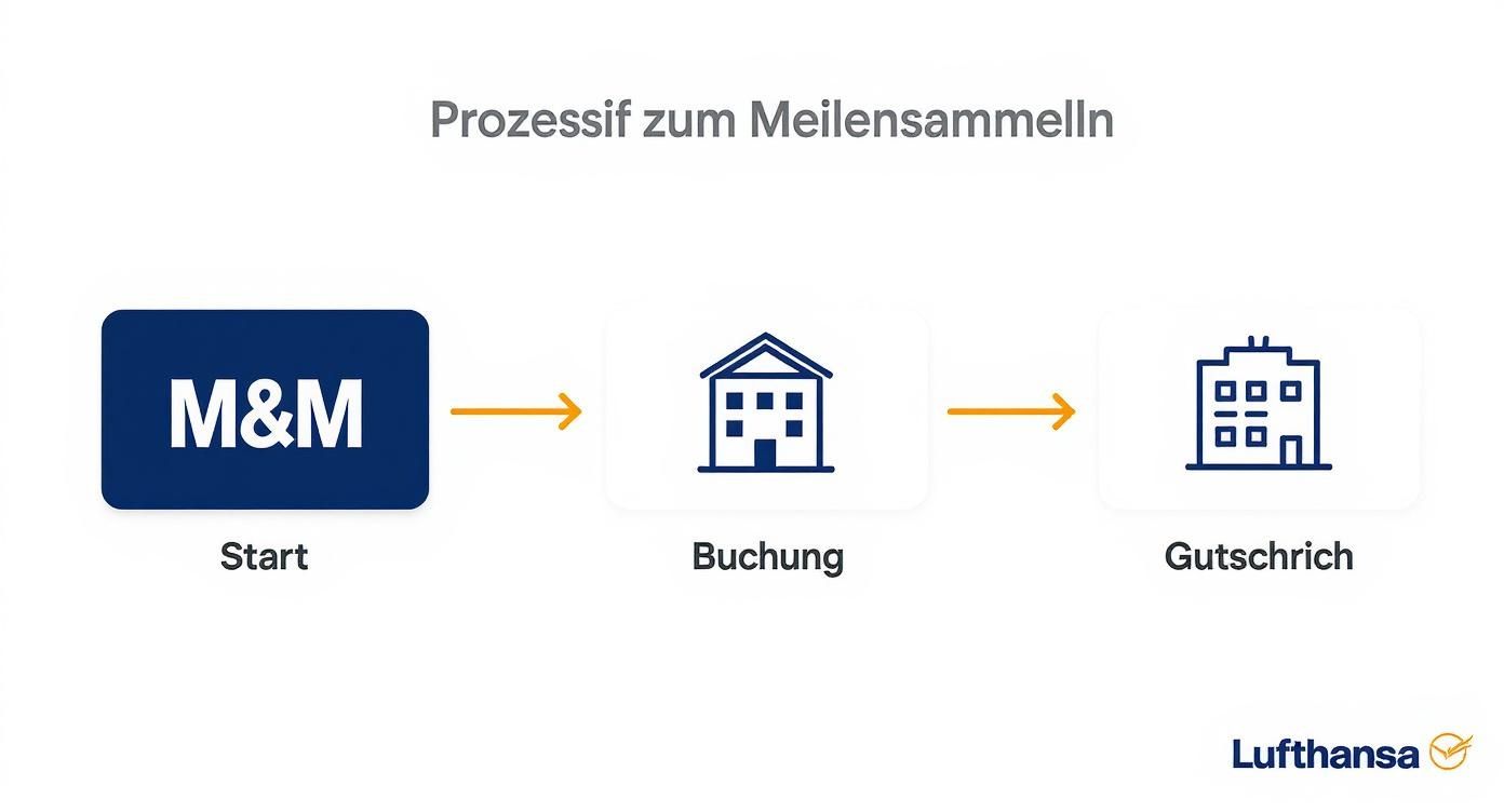 Diagramm zeigt den Prozess zum Meilensammeln: Von M&M über Buchung bis zur Gutschrift der Meilen.