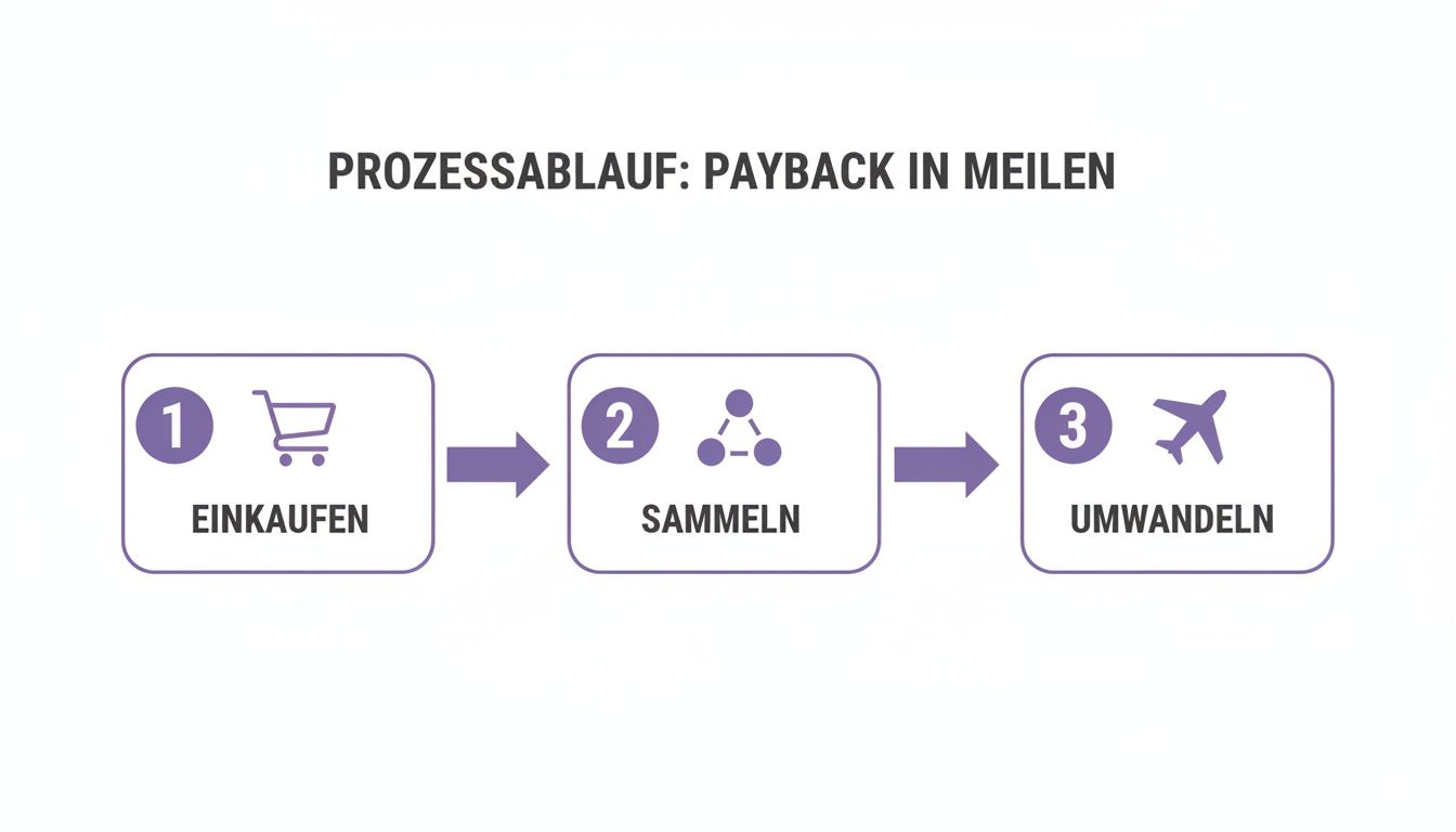 Prozessablauf zum Sammeln und Umwandeln von Payback-Punkten in Meilen, dargestellt in drei Schritten: Einkaufen, Sammeln, Umwandeln.