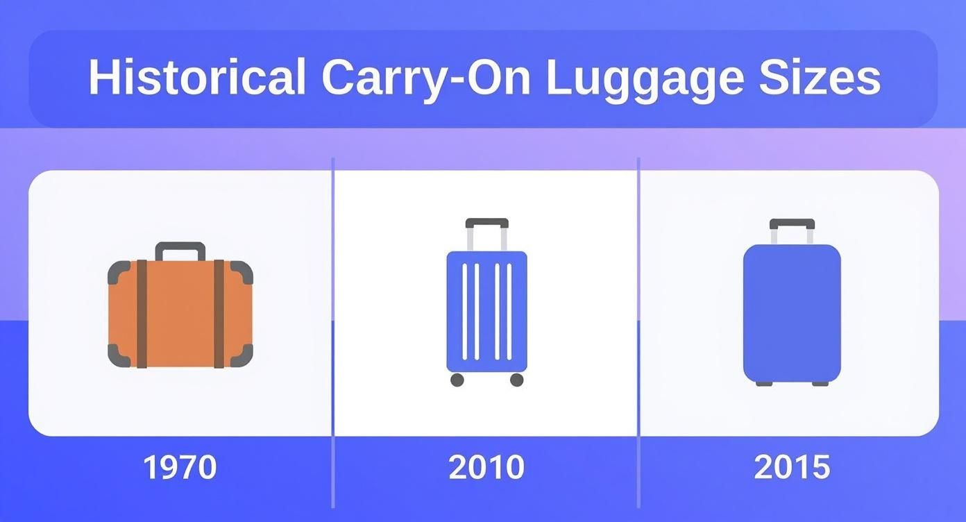 Infographic about handgepäck maße