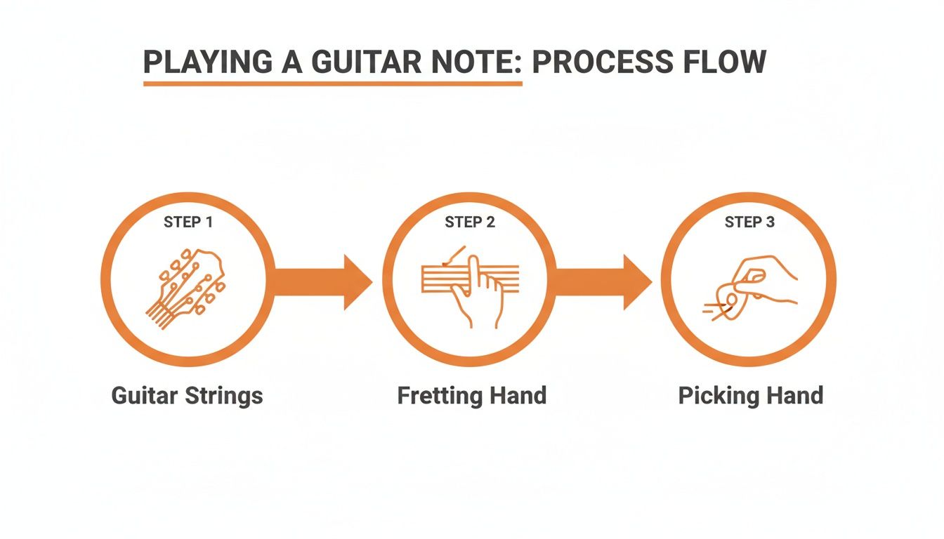 Process flow diagram detailing how to play a guitar note using guitar strings, fretting hand, and picking hand.